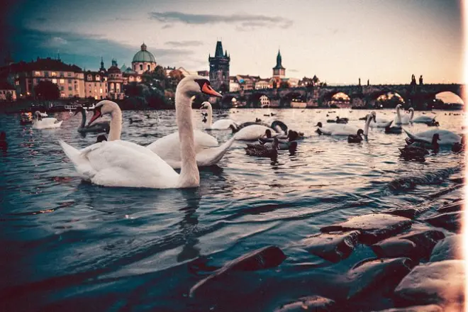Private Transfer Nuremberg to Prague: 2 Hours Sightseeing