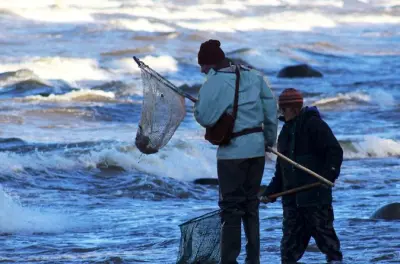 Búsqueda y creación de ámbar en el Spit de Curlandia desde Klaipeda