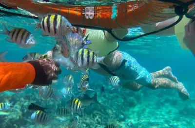 Schnorcheln in Roatan: West Bay Beach mit privatem Transport