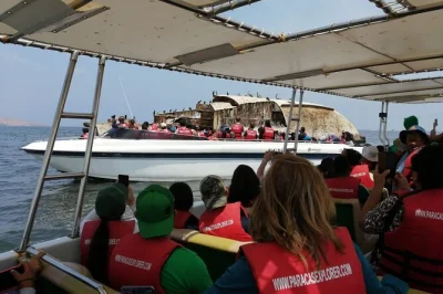 Experience ballestas islands wildlife, paracas coast, and huacachina dune buggy sandboarding on a full-day tour from lima. includes guide & transport.