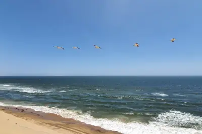Visite culturelle à Swakopmund : Tribus, marché et cuisine locale