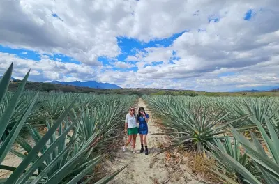 Gita a Hierve el Agua: Mezcal, tessuti e pranzo