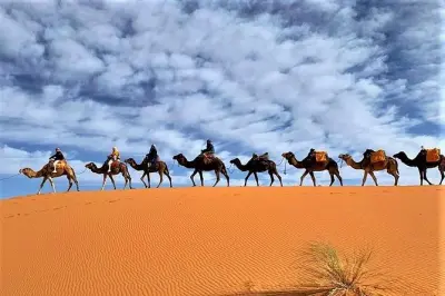 4-day Tangier to Sahara desert tour with camel trekking