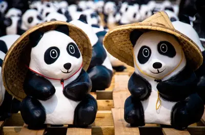 Dujiangyan Panda Base & Irrigation Project Private Tour