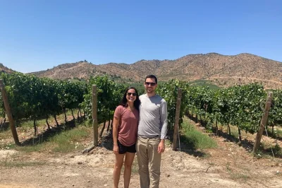 Découvrez une dégustation privée au vignoble encierra près de santiago, promenez-vous dans les vignes avec les propriétaires et savourez des vins d’exception. réservez vite pour une expérienc