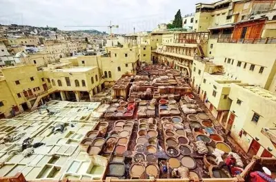 Medina de Fez e bairro judeu: Palácio real e curtumes