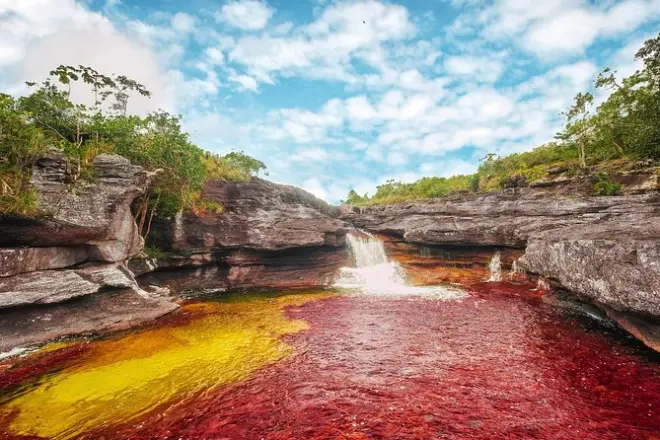 4-Day Caño Cristales & La Macarena Tour from Bogotá