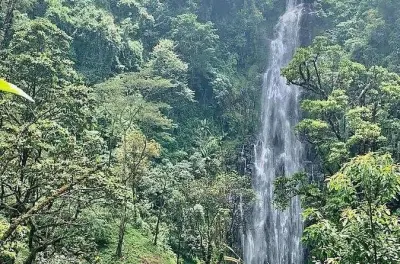 Café e cachoeiras em Materuni saindo de Arusha: Aprenda a torrar