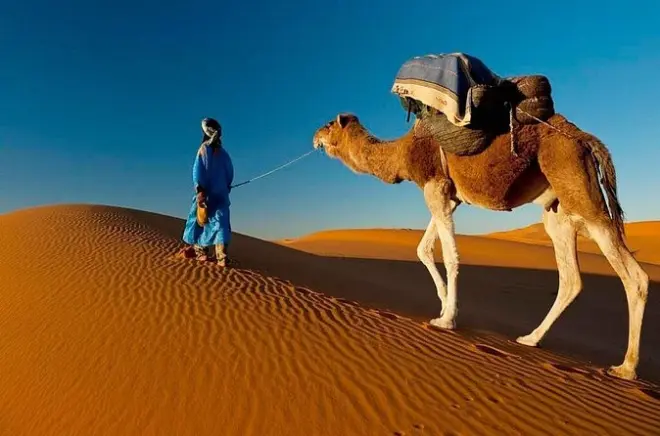 Tour privé de 7 jours : De Casablanca à Marrakech