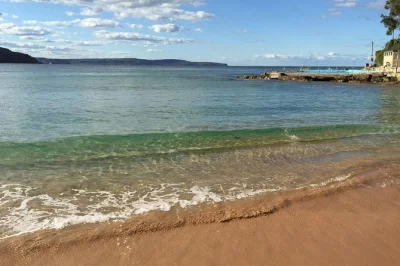 Explore as northern beaches de sydney, ku-ring-gai park e manly com guia local. inclui traslado do hotel, taxas do parque e passeio de ferry com vista incrível.