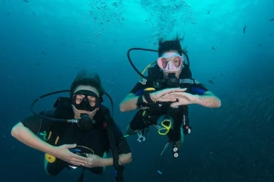 Learn to dive in koh tao with a 4-day open water course. includes pool session, four dives, all equipment, and a friendly local instructor. book now.