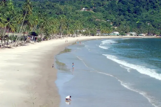Maracas Beach trip from Port of Spain: Bake and shark