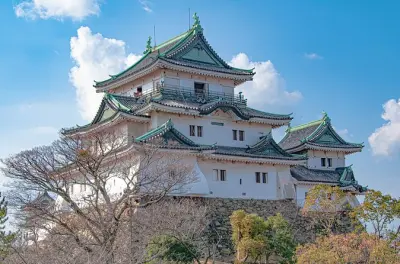 Wakayama storico in auto privata: Castello, giardino e costa
