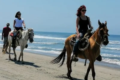 Visit an afro-mexican village near acapulco, ride horses on the beach, and help release baby turtles with a local guide. includes hotel pickup.
