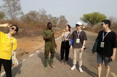 Experience a guided safari in mole national park, visit mognori eco village, and see larabanga mosque. includes lunch, transfers, and local guide.