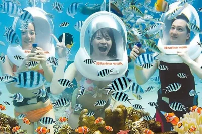 Découvrez la balade sous-marine à bali, tanjung benoa, avec guide local. casque spécial, 30 minutes sous l’eau, et option transfert hôtel. réservez vite.