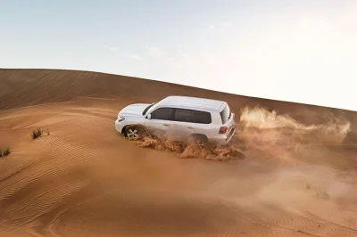 Découvrez les dunes rouges de dubaï avec du dune bashing, du sandboard et un dîner bbq. navette hôtel, guide local et spectacles de danse inclus. réservez vite.