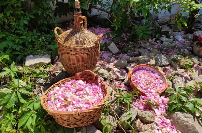Rose Workshop & Yoghurt Making Class in Karlovo