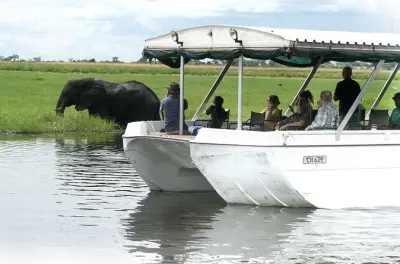 Chobe River Morgenfahrt: Wildtiere vom Wasser aus beobachten
