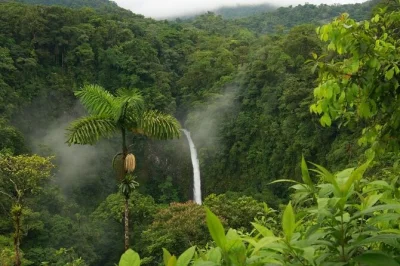 Nagez sous la cascade de la fortuna, puis savourez un déjeuner traditionnel costaricien à la ferme la finquita. transport, entrée et guide local inclus. réservez vite.