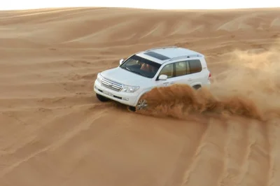 Découvrez le safari dans le désert rouge de dubai : sensations fortes en 4x4, balade à dos de chameau, sandboard et dîner bbq végétarien. transfert hôtel inclus. réservez vite.