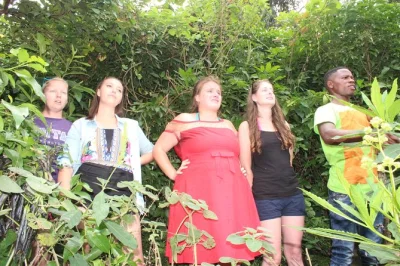 Experience karongi by boat—birdwatching, monkey trekking, swimming, and local farming. guided tours with snacks, gear, and expert nature guides included.