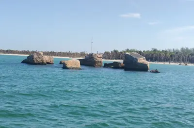Schnorcheln an Egmont Key: Private Tour für bis zu 4 Personen
