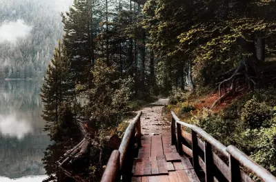 Žabljak & Schwarzer See Tour ab Kotor: Durmitor Nationalpark