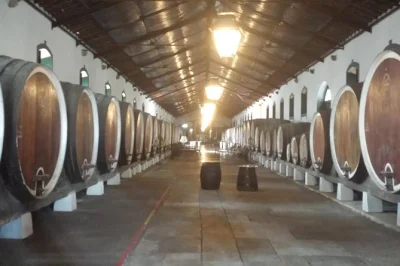 Scopri sintra, colares e cascais con un tour privato del vino da lisbona. include pick-up in hotel, guida locale e degustazioni in cantine storiche. prenota ora.