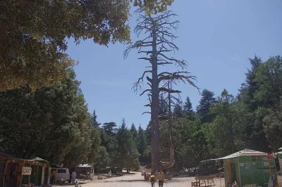 Experience a private day trip from fez to the middle atlas towns, with local guide, air-conditioned transport, and gentle hiking. includes pickup.