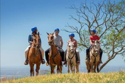Experience guanacaste’s zipline, water slide, and hot springs with a local guide. includes hotel pickup, lunch, and all activities. book your spot today.