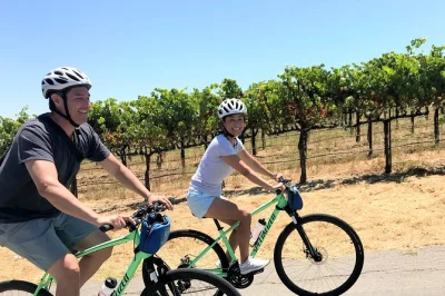 Scopri la valle di dry creek a healdsburg in bici, assaggia vini locali in piccole cantine e gusta un pranzo al sacco. include bici, guida e furgone di supporto.