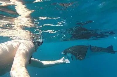 Snorkel en Nusa Penida: Manta point y bahía Gamat