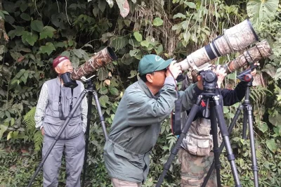 Join a birdwatching morning near quito with expert guide marcelo. spot rare species, enjoy breakfast, and all transport is included. book your spot now.