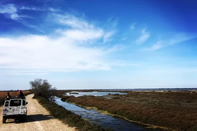 Ride through the camargue delta in a private 4x4 with a local guide. see wild horses, bulls, and rice fields. includes pickup in saintes maries de la mer.