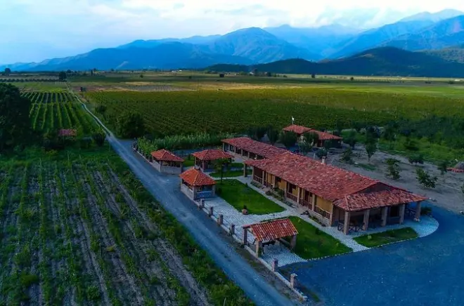 Georgian Qvevri Wine Tasting & Dinner at a Family-Run Winery