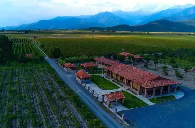 Georgian Qvevri Wine Tasting & Dinner at a Family-Run Winery
