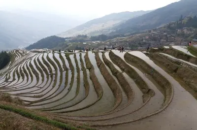Longji Rice Terraces & Tea Plantation Day Tour from Yangshuo