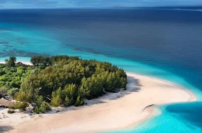 Schnorcheln in Sansibar: Delfine, Schildkröten & Kendwa Strand