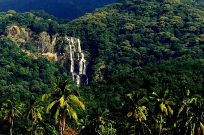 Experience mikumi national park’s wildlife and udzungwa’s waterfalls on a 3-day group tour from dar es salaam. includes hotel pickup, local guide, and lunch.
