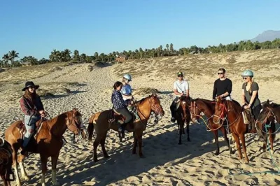 Ride horseback along playa la cachora in todos santos with a local guide. includes saddle and all equipment. book your beach adventure now.
