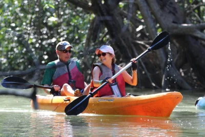Explora los manglares de isla damas cerca de manuel antonio en kayak con guía local. incluye transporte, almuerzo y todo el equipo. reserva tu lugar hoy.