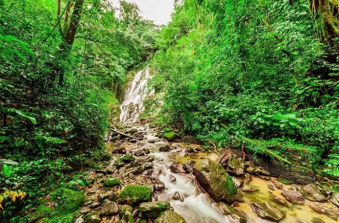 Anton Valley: Fauna, sorgenti termali e mercato