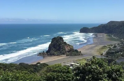 Costa Ovest e spiaggia di Piha con sabbie nere e vino incluso