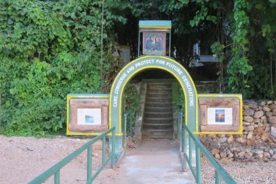 Descubre chimpancés, monos y aves en un trekking guiado por el parque nacional gombe. incluye agua embotellada y guía experto. reserva tu aventura hoy.