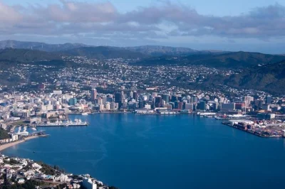 Entdecke wellington mit blick vom mt victoria, der historischen cable car und den wunderschönen gärten. inklusive abholung am hafen. jetzt buchen!