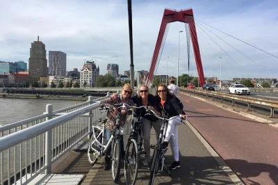 Discover rotterdam by bike—visit market hall, cube houses, erasmus bridge & more with a local guide. includes stories, tips & hidden city gems.