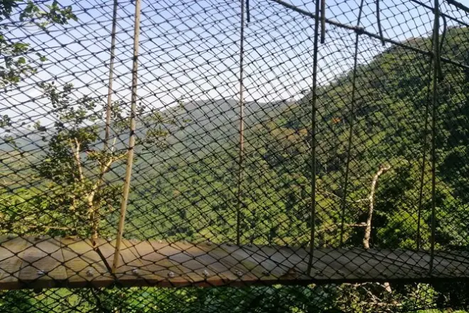 Mount Gemi & Monkey Sanctuary tour from Accra: Private day trip