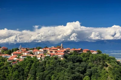 Experience georgian food, wine, and history in kakheti, kazbegi, and mtskheta with a local guide. includes hands-on cooking, winery visits, and hotel pickup.