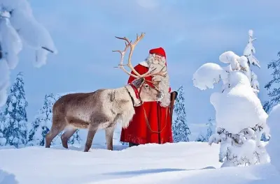 Rovaniemi Day Tour: Ounasvaara, Santa Claus Village & Arktikum